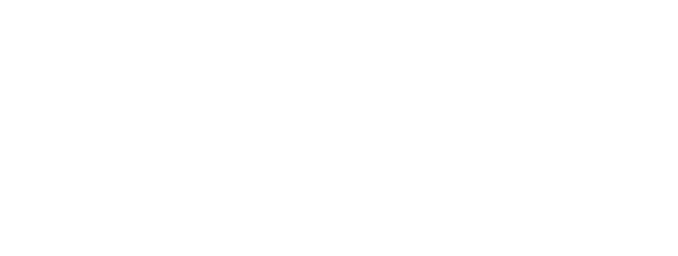 CARIÑOSO - El favorito de las celebraciones